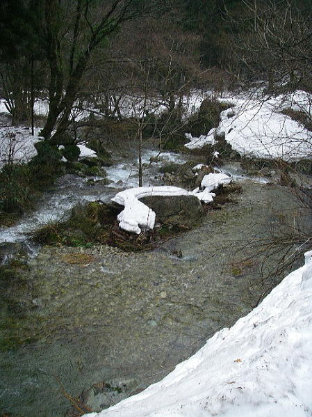 透明度バツグン♪